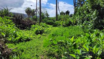 Keanae Rd 12 Hana, Hi vacant land for sale - photo 5 of 50