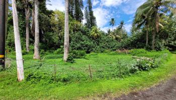 Keanae Rd 12 Hana, Hi vacant land for sale - photo 6 of 50