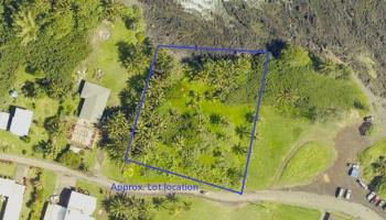 Keanae Rd  Hana, Hi vacant land for sale - photo 2 of 29