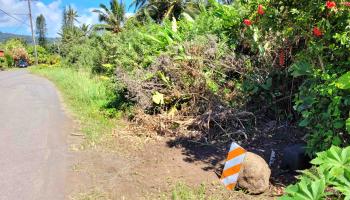 Keanae Rd  Hana, Hi vacant land for sale - photo 4 of 29