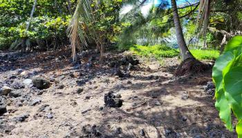 Keanae Rd  Hana, Hi vacant land for sale - photo 5 of 29