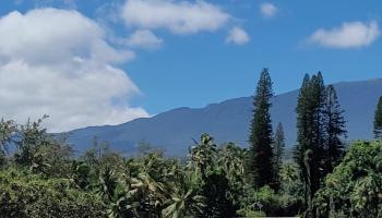 Keanae Rd  Hana, Hi vacant land for sale - photo 6 of 29