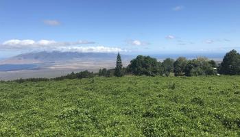 0 Kula Hwy Lot 1 / Lot 3 Kula, Hi vacant land for sale - photo 4 of 10