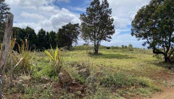 0 Kula Hwy Lot 1 / Lot 3 Kula, Hi vacant land for sale - photo 5 of 10