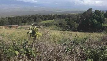 0 Puanani Pl Lot 4 Kula, Hi vacant land for sale - photo 2 of 2