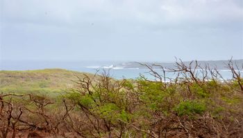 0 Kulawai Pl Lot 230 Maunaloa, Hi 96770 vacant land - photo 4 of 6 0 Kulawai Pl Lot 230 Maunaloa, Hi 96770 vacant land - photo 4 of 6