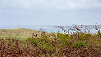 0 Kulawai Pl Lot 230 Maunaloa, Hi vacant land for sale - photo 4 of 6