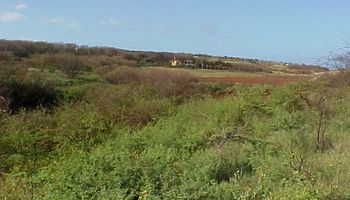 0 Kulawai Pl Lot 230 Maunaloa, Hi 96770 vacant land - photo 5 of 6