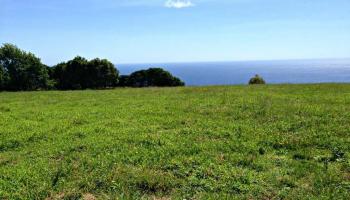 0 Lahaole Pl MCR Lo Wailuku, Hi vacant land for sale - photo 5 of 30