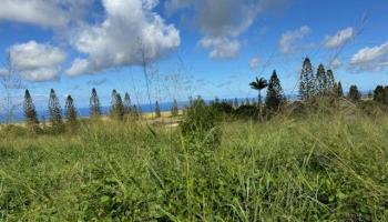 Linohau Pl 25 Maunaloa, Hi vacant land for sale - photo 1 of 9