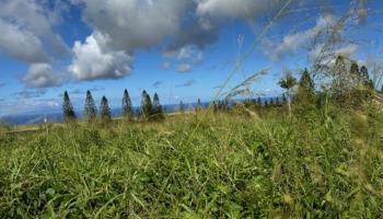 Linohau Pl 25 Maunaloa, Hi vacant land for sale - photo 5 of 9