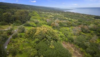 Lot 20 Hana Hwy 20 Hana, Hi vacant land for sale - photo 1 of 22