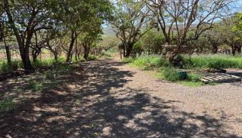 Lot 205  Pa Loa Loop , Molokai home - photo 6 of 11