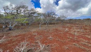 Lot 36 Kalua Ko Rd  Maunaloa, Hi vacant land for sale - photo 2 of 15