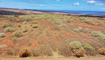 Lot 38 Kalua Koi Rd  Maunaloa, Hi vacant land for sale - photo 3 of 8