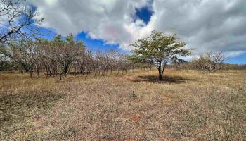 Lot 38 Kalua Koi Rd  Maunaloa, Hi vacant land for sale - photo 4 of 8