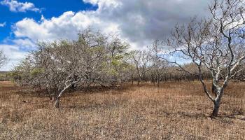 Lot 38 Kalua Koi Rd  Maunaloa, Hi vacant land for sale - photo 5 of 8