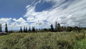 lot 461 Linohau St  Maunaloa, Hi vacant land for sale - photo 2 of 3