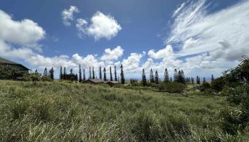 lot 461 Linohau St  Maunaloa, Hi vacant land for sale - photo 3 of 3