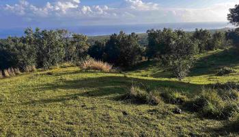 Lot F Hana Hwy 3-F Hana, Hi vacant land for sale - photo 2 of 18