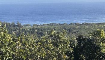 Lot F Hana Hwy 3-F Hana, Hi vacant land for sale - photo 5 of 18