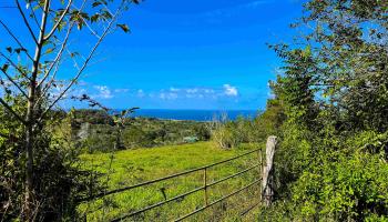 Lupi Rd  Haiku, Hi vacant land for sale - photo 1 of 18