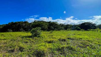 Lupi Rd  Haiku, Hi vacant land for sale - photo 2 of 18