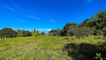 Lupi Rd  Haiku, Hi vacant land for sale - photo 4 of 18