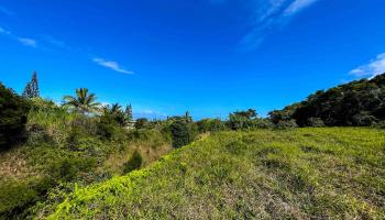 Lupi Rd  Haiku, Hi vacant land for sale - photo 5 of 18