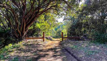 Lupi Rd  Haiku, Hi vacant land for sale - photo 6 of 18