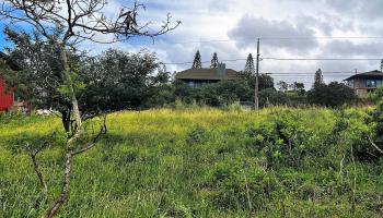 Mahiki Pl D-10 Maunaloa, Hi vacant land for sale - photo 5 of 7