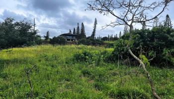 Mahiki Pl D-10 Maunaloa, Hi vacant land for sale - photo 6 of 7