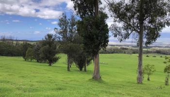 0 Makanoe Pl  Makawao, Hi vacant land for sale - photo 5 of 32