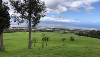 0 Makanoe Pl  Makawao, Hi vacant land for sale - photo 6 of 32