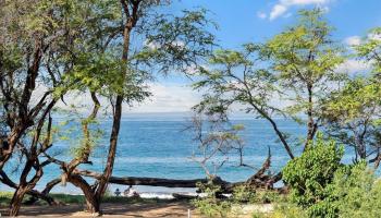 0 Makena Alanui Rd  Kihei, Hi vacant land for sale - photo 6 of 50