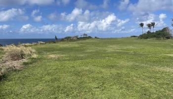 Manawai Pl  Haiku, Hi vacant land for sale - photo 3 of 9