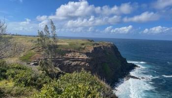 Manawai Pl  Haiku, Hi vacant land for sale - photo 4 of 9