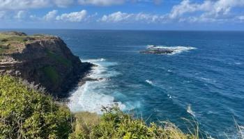 Manawai Pl  Haiku, Hi vacant land for sale - photo 6 of 9