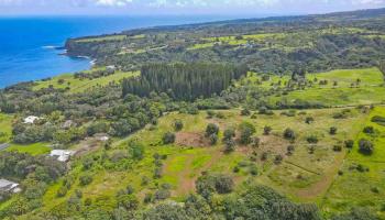 Manawai Pl Lot 3 Haiku, Hi vacant land for sale - photo 3 of 19