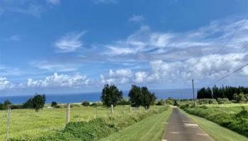 Manawai Pl Lot 3 Haiku, Hi vacant land for sale - photo 4 of 19