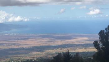0 Mauka Alae Rd Kula, Hi 96790 vacant land - photo 3 of 14 0 Mauka Alae Rd Kula, Hi 96790 vacant land - photo 3 of 14
