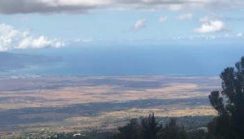 0 Mauka Alae Rd  Kula, Hi vacant land for sale - photo 3 of 14