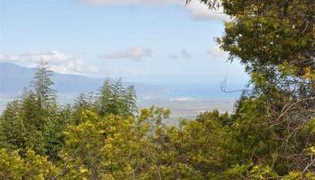 0 Middle Rd  Kula, Hi vacant land for sale - photo 2 of 14