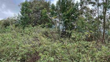 0 Middle Rd  Kula, Hi vacant land for sale - photo 2 of 4