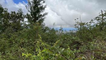 0 Middle Rd  Kula, Hi vacant land for sale - photo 3 of 4