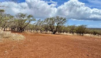 Noho Lio Rd 197 Maunaloa, Hi vacant land for sale - photo 2 of 19