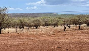 Noho Lio Rd 197 Maunaloa, Hi vacant land for sale - photo 3 of 19