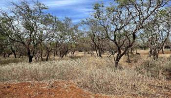 Noho Lio Rd 197 Maunaloa, Hi vacant land for sale - photo 4 of 19