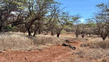 Noho Lio Rd 197 Maunaloa, Hi vacant land for sale - photo 6 of 19