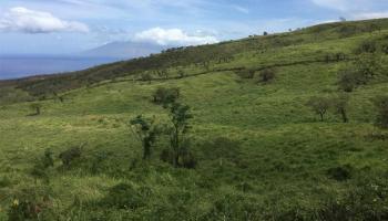 Off Kanaio-Kalama Park  Kula, Hi vacant land for sale - photo 3 of 5